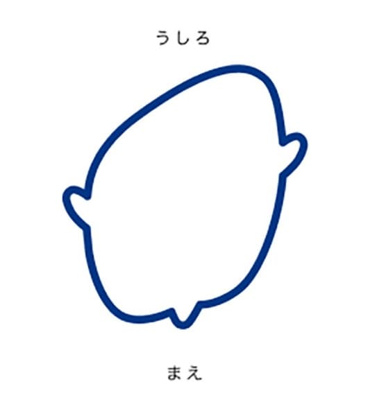 斜頭症の頭の形を上から見た図