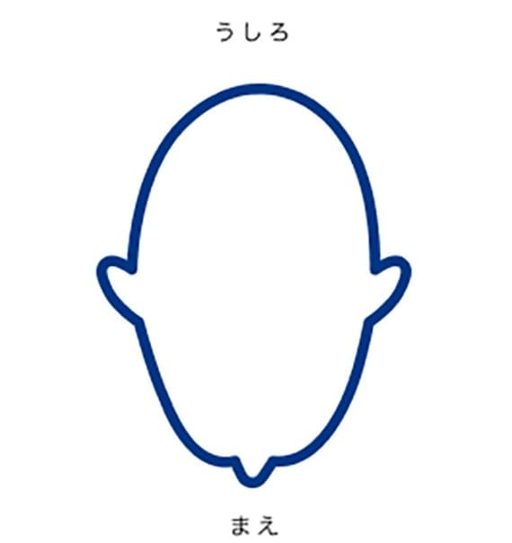 長頭症の頭の形を上から見た図